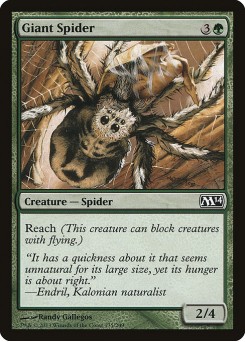 Aranha Gigante