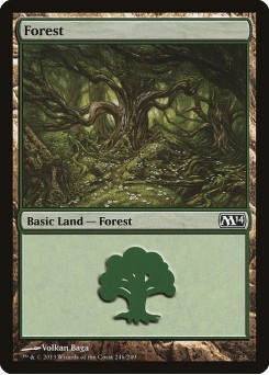 Floresta