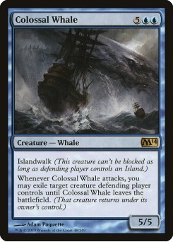 Baleia Colossal