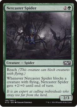 Aranha Lançadora de Rede