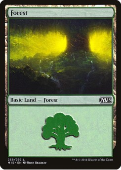 Floresta