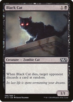 Gato Preto