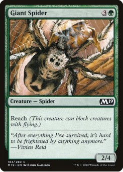 Aranha Gigante