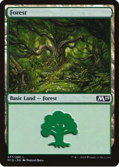 Floresta