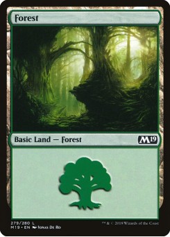 Floresta