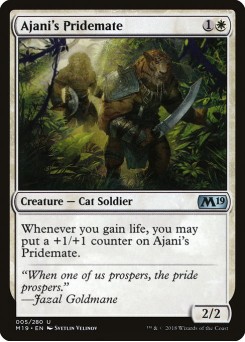 Companheiro de Bando de Ajani