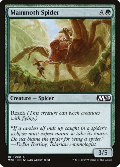 Aranha Mamute