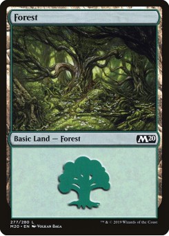 Floresta
