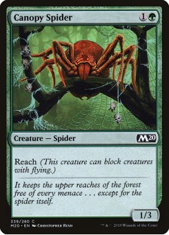 Aranha Baldaquina