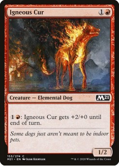 Cão Ígneo