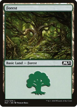 Floresta