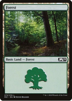 Floresta