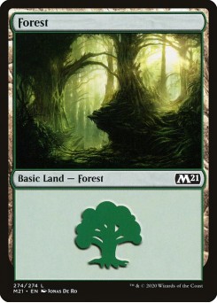 Floresta