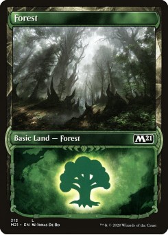 Floresta