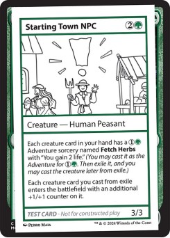 Starting Town NPC
