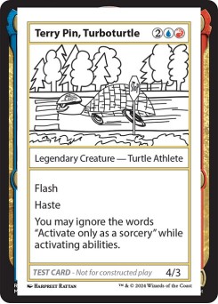 Terry Pin, Turboturtle