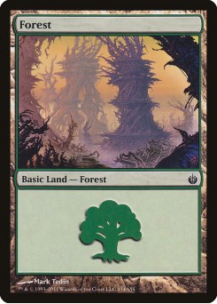 Floresta