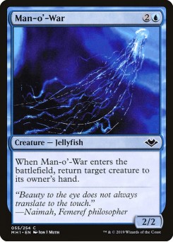 Physalia
