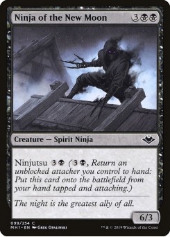 Ninja da Lua Nova
