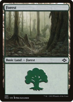 Floresta