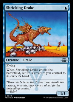 Dragonete Guinchador