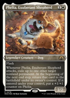 Phelia, Exuberant Shepherd
