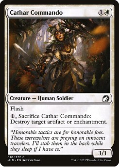 Comando Cátaro