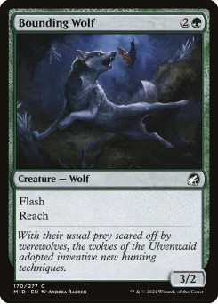 Lobo Saltador