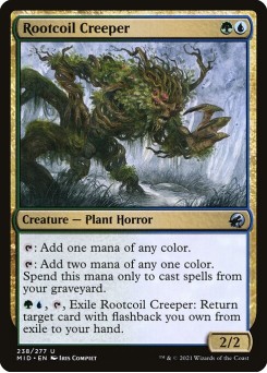 Trepadeira Raizespiral
