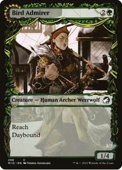 Bird Admirer // Wing Shredder