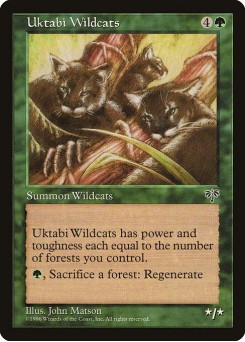 Gatos Selvagens de Uktabi