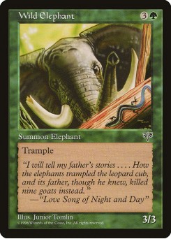 Elefante Selvagem