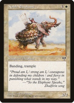 Elefante Majestoso