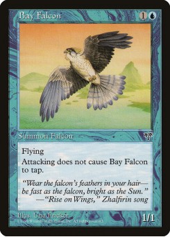 Falcão da Baía