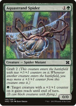 Aquastrand Spider