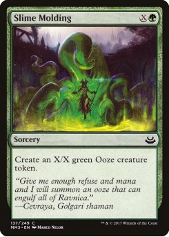 Slime Molding