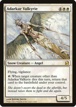 Adarkar Valkyrie