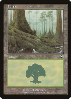 Floresta