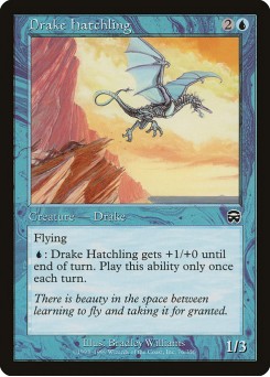 Cria de Dragonete
