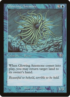 Anêmona Luminosa