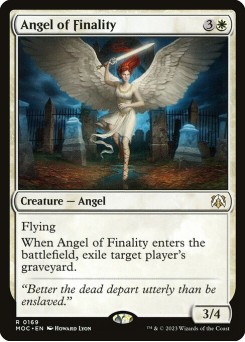 Anjo da Finalidade