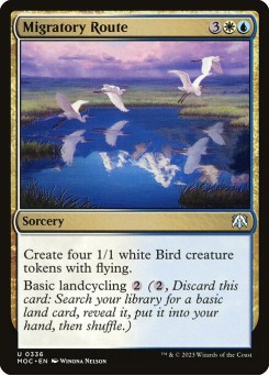 Rota Migratória