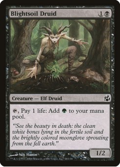 Druida da Terra Árida