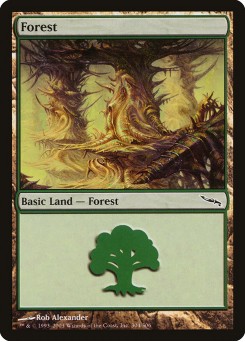 Forest