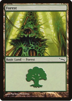 Forest