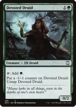 Druida Devotado
