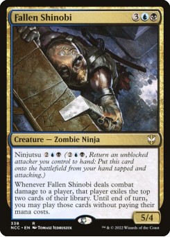 Shinobi Caído