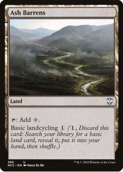 Desolação Fumegante