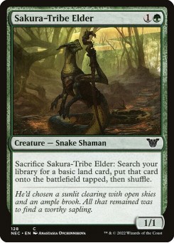 Ancião da Tribo Sakura