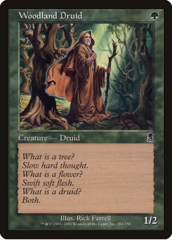 Druida da Mata